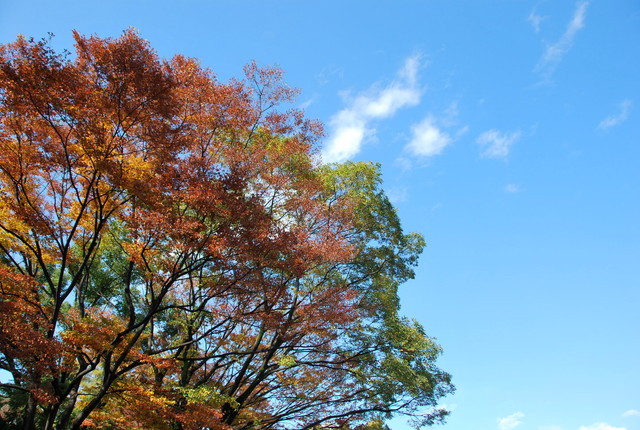 b0174068_2284174.jpg