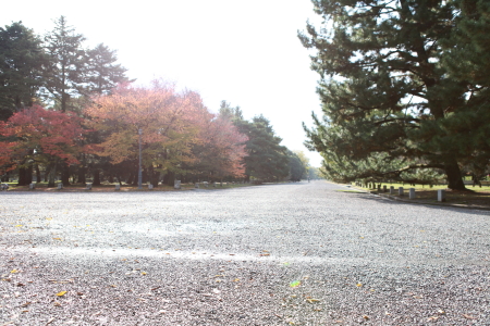 e0116171_174635100.jpg