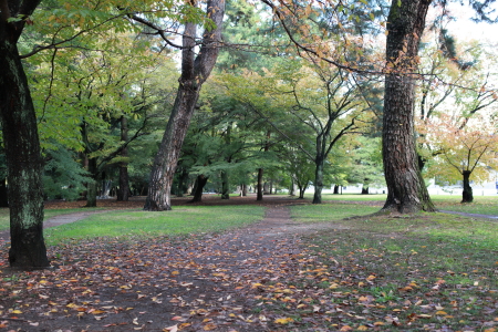 e0116171_1747052.jpg