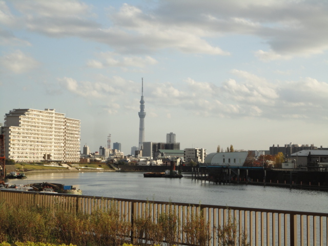 d0109373_23424451.jpg