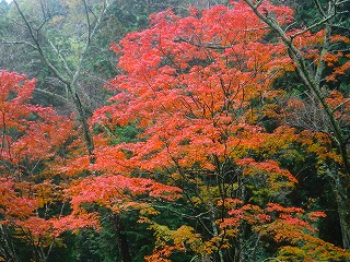 a0235077_2143416.jpg
