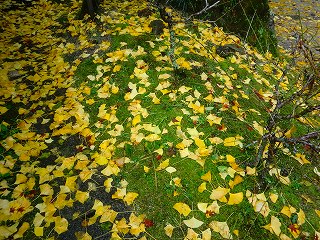 a0235077_21435075.jpg