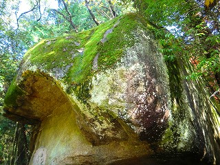 a0235077_21554231.jpg