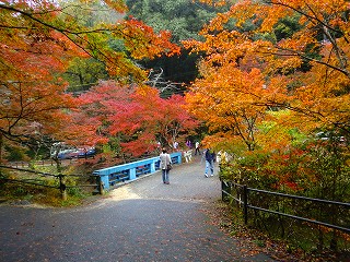 a0235077_2201024.jpg