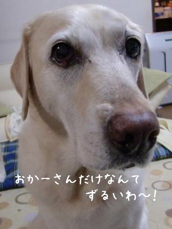 c0028792_23403888.jpg