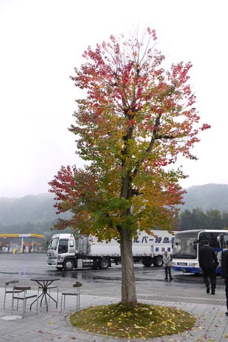 f0222692_6582266.jpg