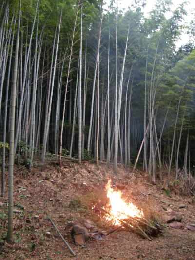 e0017396_22374231.jpg