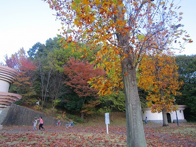 e0227996_17381318.jpg