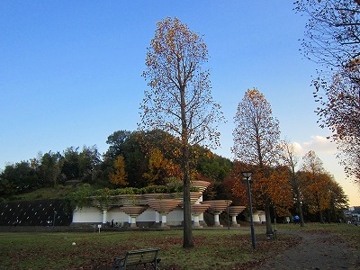 e0227996_17412922.jpg