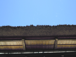 e0206902_22552813.jpg