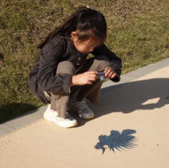 d0016003_20205383.jpg
