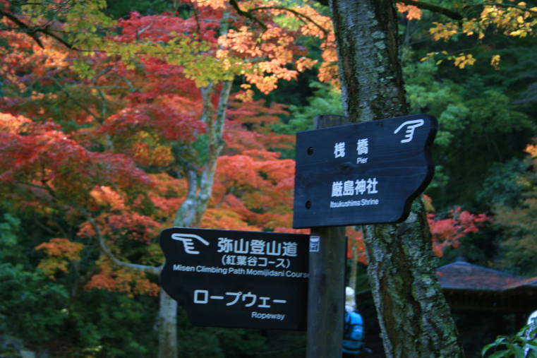f0031304_65544.jpg