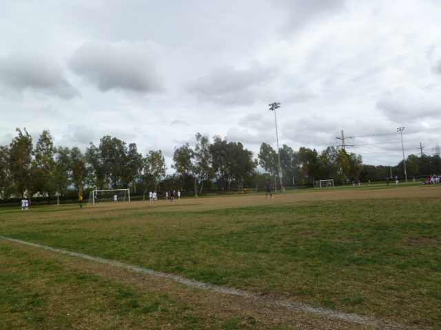 a0144811_15535327.jpg