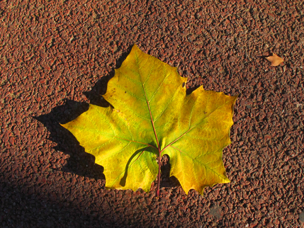 a0101715_1226102.jpg