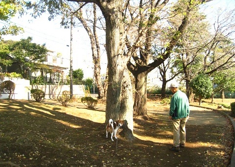 c0084117_1745855.jpg