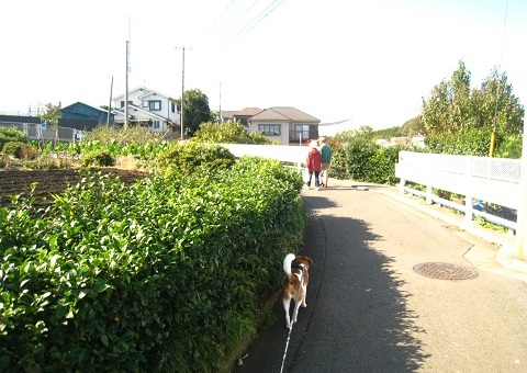 c0084117_18173578.jpg