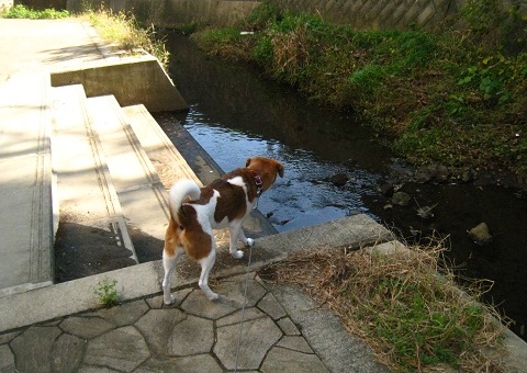 c0084117_1824013.jpg