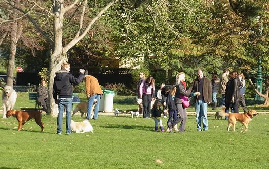 f0214121_0315419.jpg