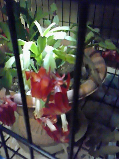 b0094025_0481634.jpg