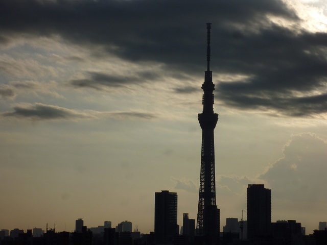 a0024829_824423.jpg