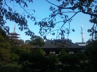 f0109635_22554218.jpg