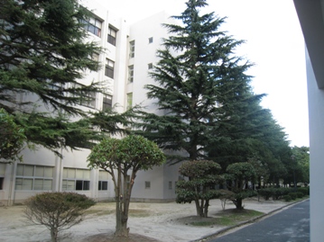 c0077338_635885.jpg
