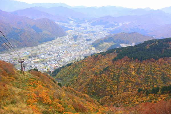 e0234741_20245743.jpg