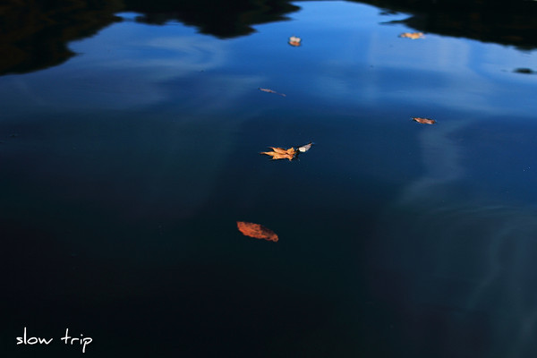 c0228945_7313636.jpg