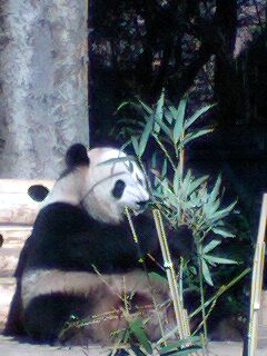 c0011446_23274833.jpg