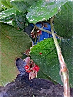 f0173150_22322369.jpg