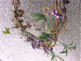 f0173150_2237174.jpg