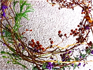 f0173150_2239424.jpg