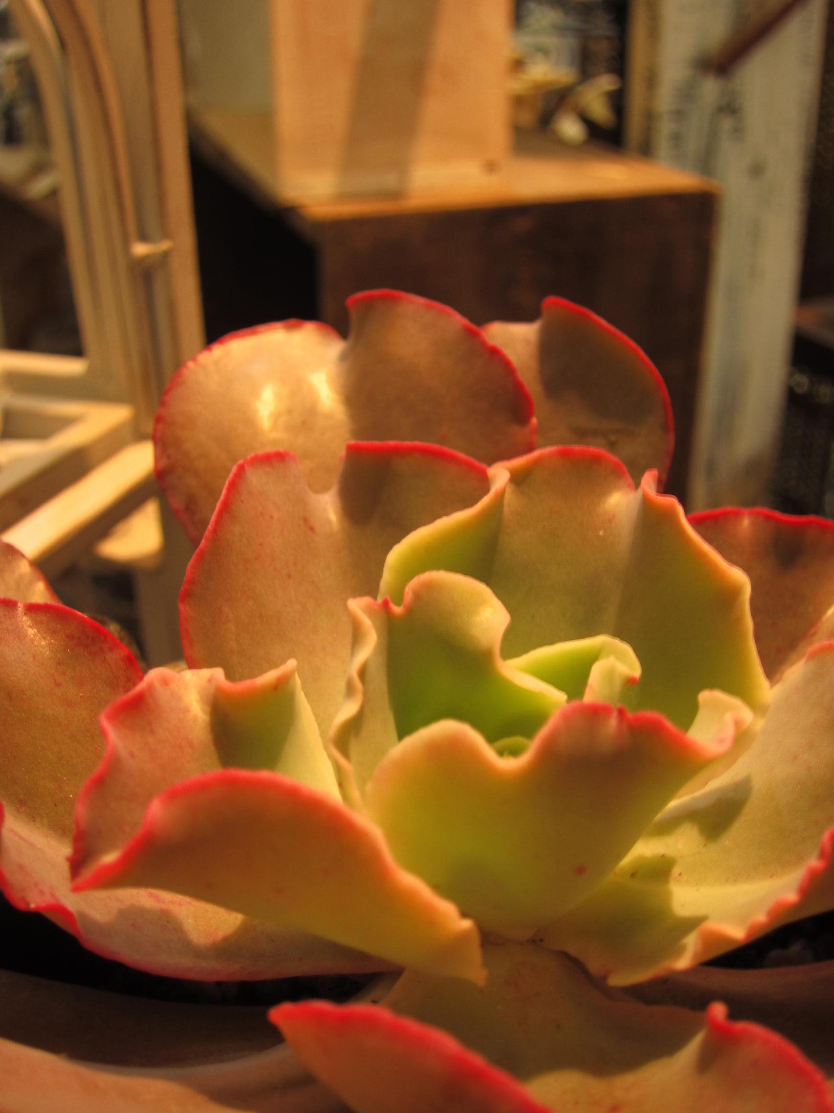 f0220152_1892333.jpg