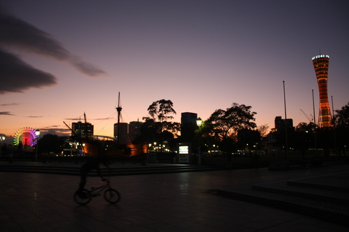 a0211756_23365759.jpg