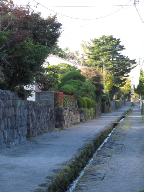 f0201157_1353999.jpg