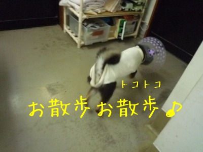 f0177261_12231483.jpg