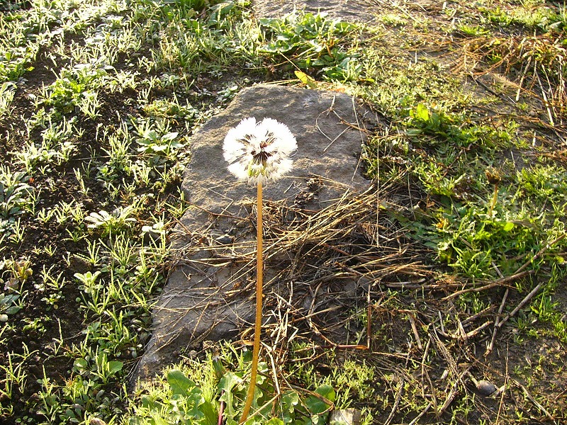 b0218664_9125987.jpg