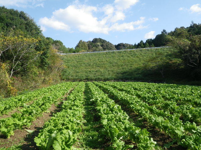 f0055264_2232529.jpg