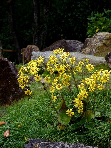 d0084473_20552541.jpg