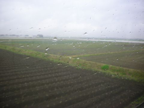 b0005281_22315181.jpg