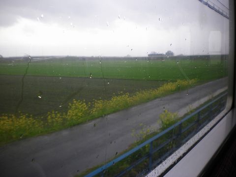 b0005281_22344275.jpg