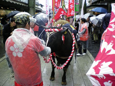 b0005281_22354267.jpg