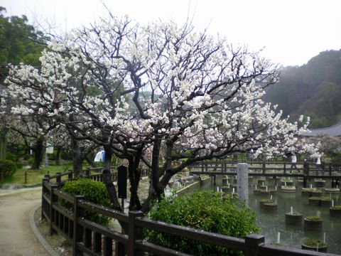 b0005281_22363576.jpg