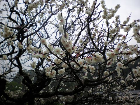 b0005281_22371328.jpg