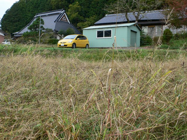 b0042882_21274816.jpg