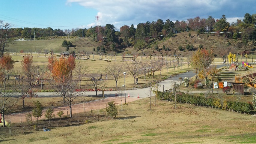 f0131183_849398.jpg