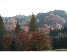 e0162984_23135961.jpg