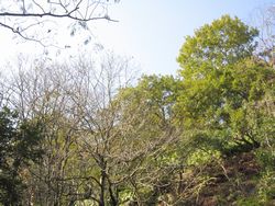 f0053885_2244810.jpg