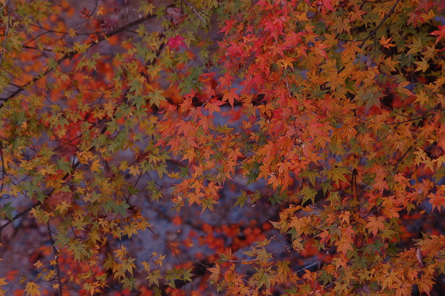 b0203588_18535769.jpg