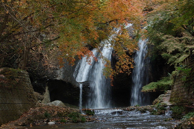 b0203588_1901557.jpg